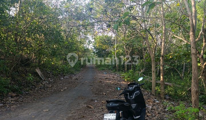 Tanah Di Sewakan Pantai Balangan