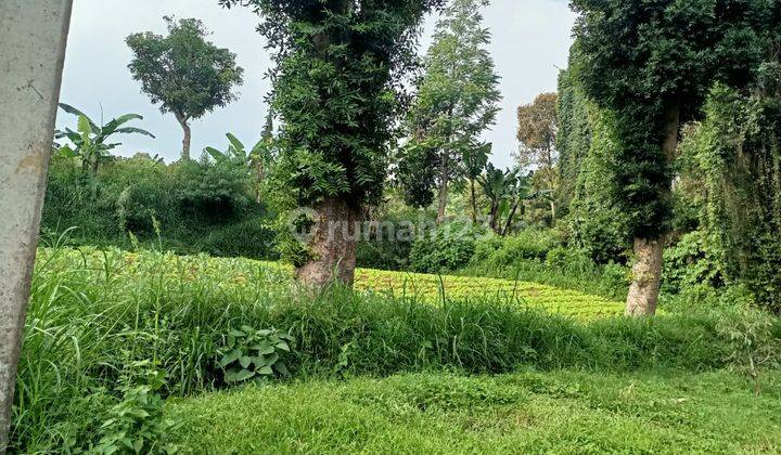 tanah bagus di kolmas Cimahi Mainroad 4 hektar  2