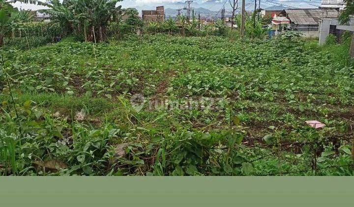 Tanah kavling di Cihanjuang Cimahi Mainroad  1