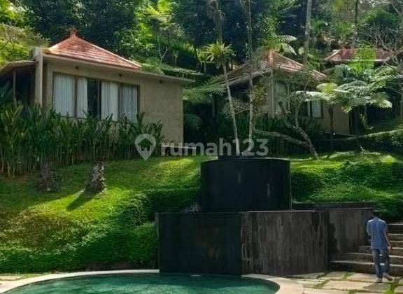 Tourism center villa complex in North Ubud near Kayon jungle  2