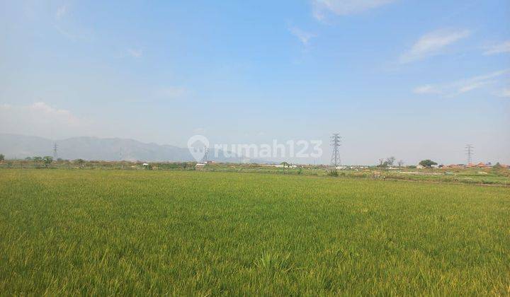 tanah sawah mainroad di ciganitri bojongsoang strategis  2