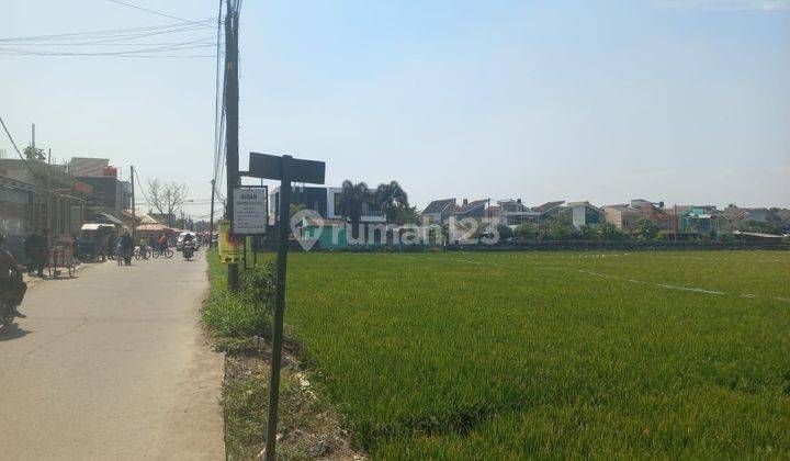 tanah sawah mainroad di ciganitri bojongsoang strategis  1