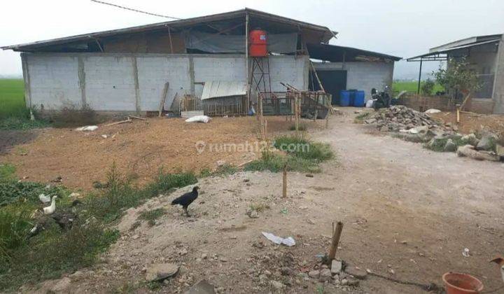 Dijual Cepat Tanah Bonus Gudang dan Rumah Siap Pakai di Ciparay 1