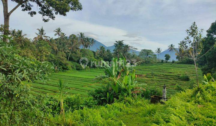 Dijual Tanah Padat Kawasan Wisata Cocok Untuk Villa Retreat Glamping Resort, View Gunung di Tabanan Bali 2