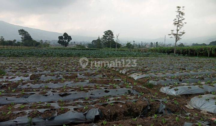 Dijual Tanah Di Kampung Cicalung, Desa Harja, Lembang 1