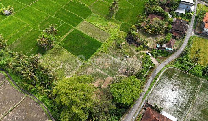 Land for sale KEMENUH, Gianyar, Bali, very strategic location 2