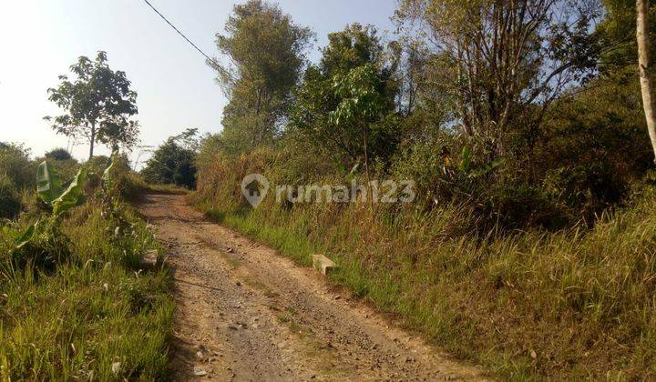 Hot Deal. Dijual Tanah di Daeeah Cicadas Cianjur ( Mainroad ) 5 menit dari Pantai. 2