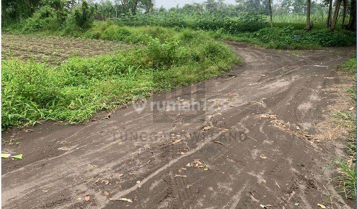 Apik, Tanah Strategis Tepat di Timur Kampus Unriyo Maguwoharjo 3