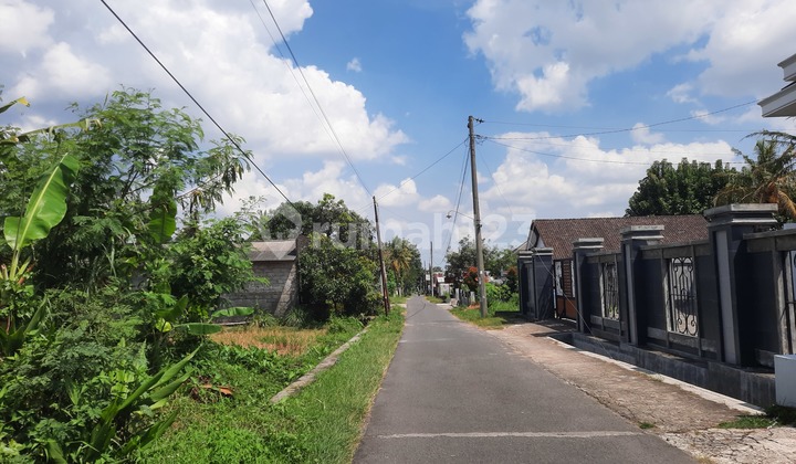 Cheap Land Palagan 700M Jl Palagan, Near Rejodani Market 2.7M/M²