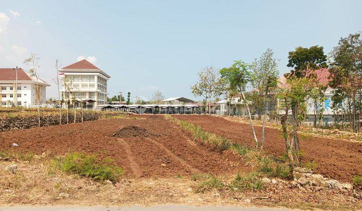 Tanah di Jl Wonosari , Gunung Kidul SHM 2.000 m² 1