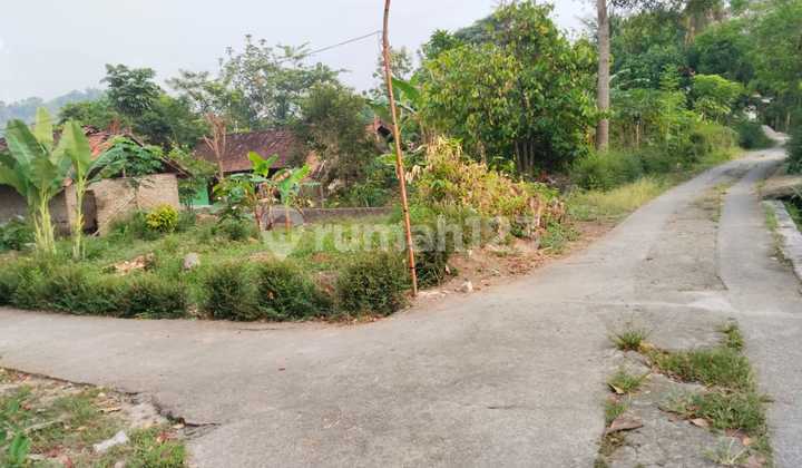 Tanah Murah View Sawah Dekat Pasar Godean - SHM