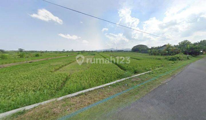 Dijual Tanah Dekat Bandara Yia Wates Siap Jual 1