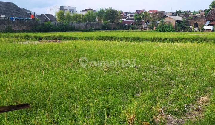 Tanah Dalam Kota Dijual Yogyakarta Kota 1