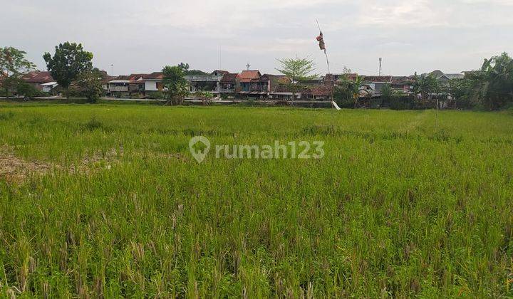 Tanah Dalam Kota Dijual Yogyakarta Kota 3