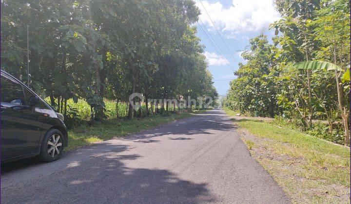 Pas Bangun Kost Karyawan, Tanah Sentolo Jogja SHM 4