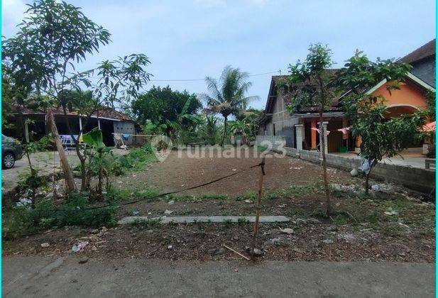 Pas Bangun Kost Karyawan, Tanah Sentolo Jogja SHM 6