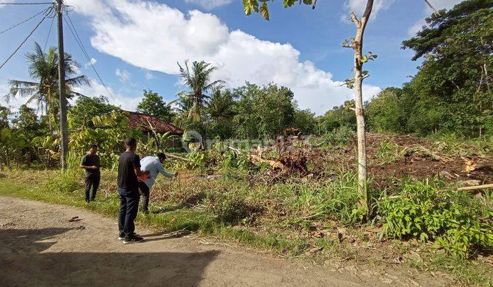 Dekat Exit Tol Banguncipto, Invest Tanah SHM Murah Jogja Barat  2