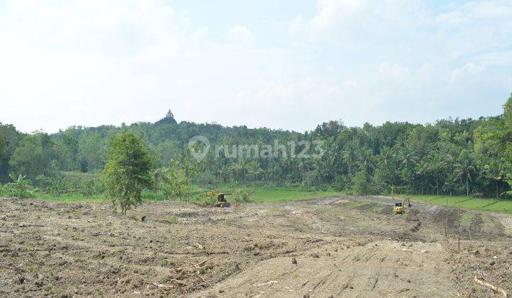 Dekat Kampus Uny Wates, Tanah Masih Murah Jogja SHM Pekarangan 2