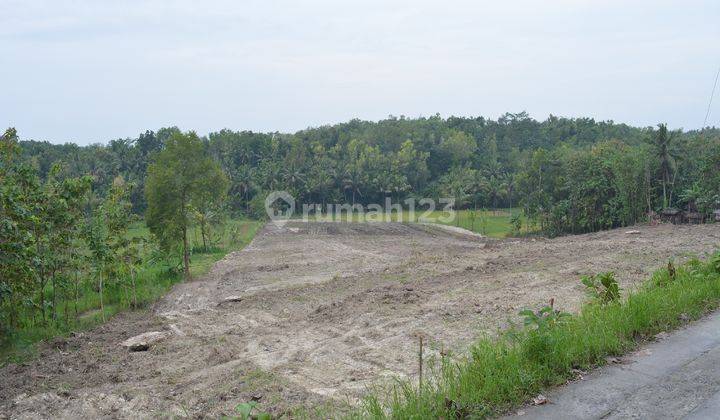 Dekat Kampus Uny Wates, Tanah Masih Murah Jogja SHM Pekarangan 1