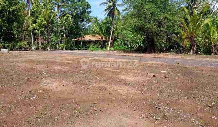 Dekat Wates Kota, Tanah 100 Jutaan Siap Bangun Hunian, Bisa Kpr 2