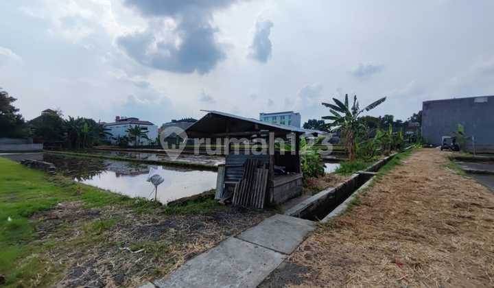 Cheap Land in Seturan with a Wide Rice Field View of 600