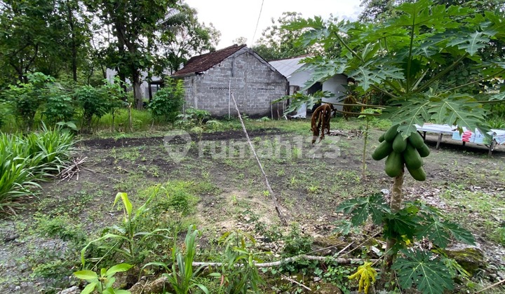 Murah! Tanah 303 M² Dekat Bunderan Siyono Wonosari - 750 Rb/M²!