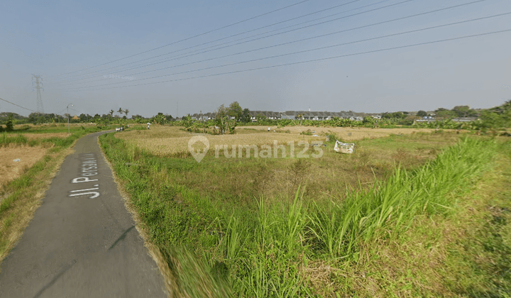 Tanah di Rejodani Palagan Km 10 View Sawah, Sleman SHM 535 m² 2