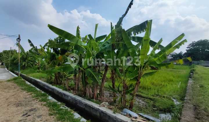 Cheap Land in Seturan with a Wide Rice Field View of 600