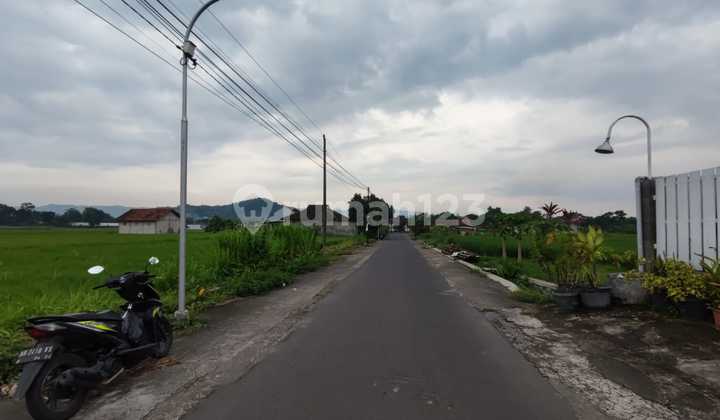 Wide Front Land 49 Meters in Berbah Sleman - Near Sampoerna Cigarette Factory, 1.5 Million/M²