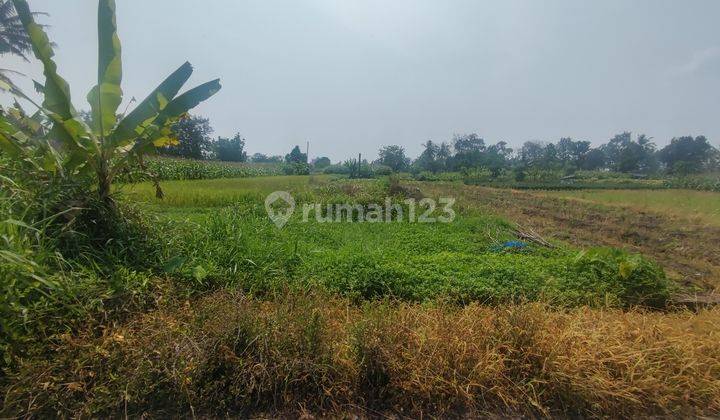 Tanah di Jl Kaliurang Km 10; Belakang Pasar Gentan, Sleman SHM 138 m² 2