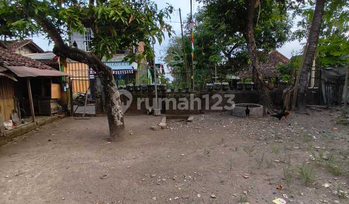 Tanah Tridadi 200m Jl Magelang, 4 Menit PEMDA Sleman, SHM-P Siap Bangun