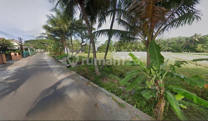 Tanah 10m Depan, Akses Papasan, Dekat Jalan Rajawali & Kampus UMY! Tanah 10m Depan, Akses Papasan, Dekat Jalan Rajawali & Kampus UMY!