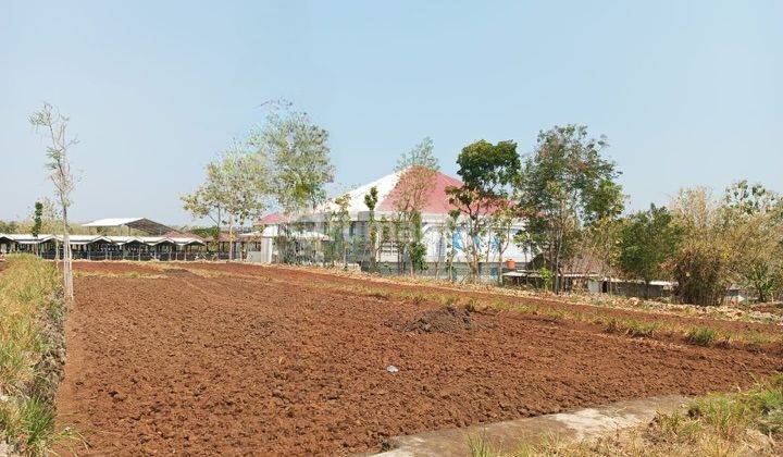 Tanah di Samping Kampus Uny Gunung Kidul, Gunung Kidul SHM 1.200 m² 2