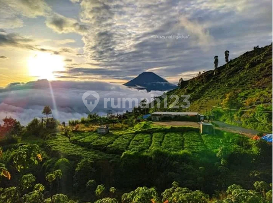 Dieng View Golden Sunrise Land; Suitable for Villa Dieng View Golden Sunrise Land; Suitable for Villa