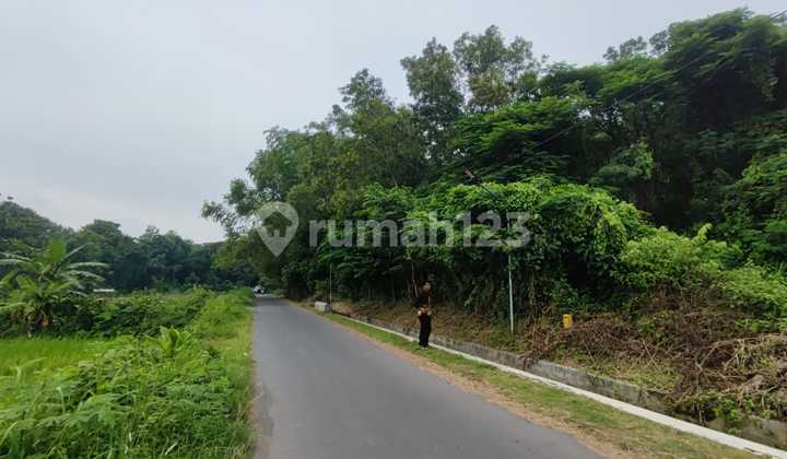 Lahan Siap Kavling Perumahan Berbah Sleman - 1,3 Ha - 550 Rb/M²