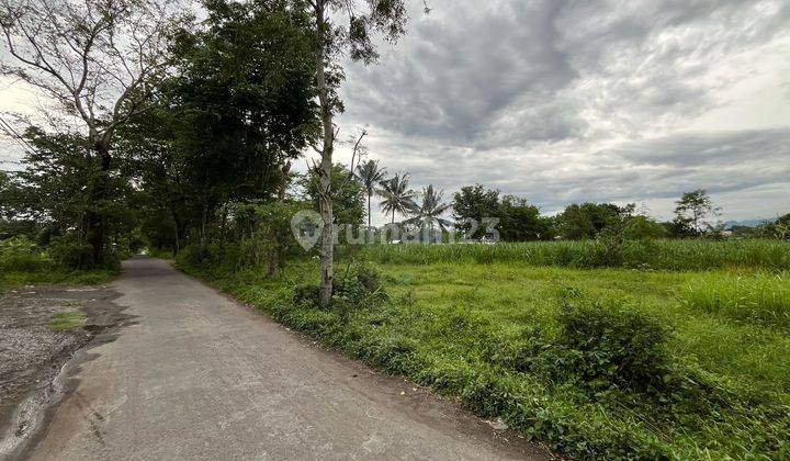 Tanah di Selatan Kampus Uii, Yogyakarta 816 m² 2