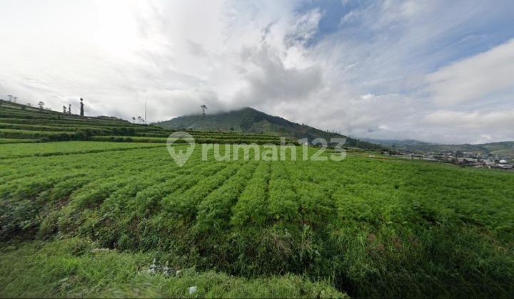 Land in Puncak Dieng, Central Java; Mountain View Land in Puncak Dieng, Central Java; Mountain View