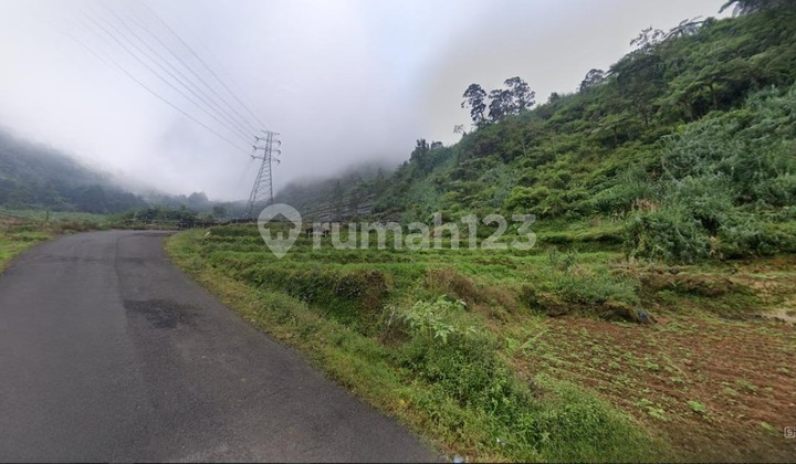Area 4185 m2; LAND for SALE in Dieng Wonosobo Area 4185 m2; LAND for SALE in Dieng Wonosobo
