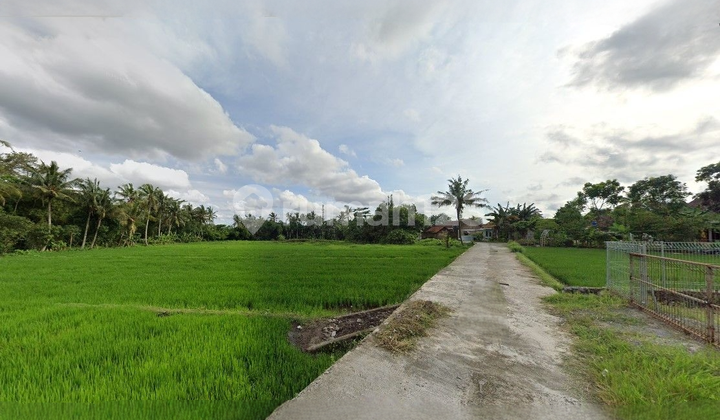 Tanah Investasi View Sawah Jakal Km 9, Dekat Uii 2,5Jt/M²