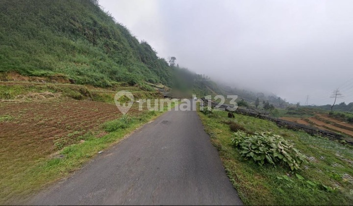 Area 4185 m2; LAND for SALE in Dieng Wonosobo Area 4185 m2; LAND for SALE in Dieng Wonosobo