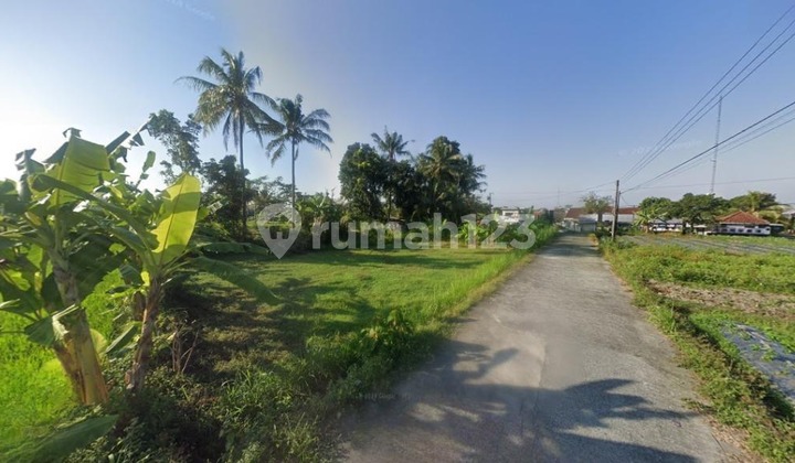 Luas 500 an m2; Tanah View Sawah 20 Menit Kampus UGM