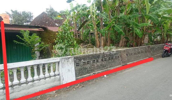 Murah! Tanah SHM Pekarangan Kalitirto - Akses Papasan - 2,4 Jt/M²