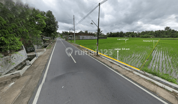 Tanah di Jl Argomulyo Dekat Pasar Ngijon; Utara Jl Wates, Bantul SHM 1.180 m² 1