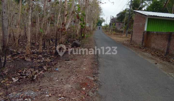 Tanah Pekarangan Lebar 37m di Sendangsari Kulon Progo – Lokasi Asri & Strategis