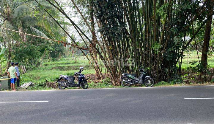 Tanah di Dekat Kampus Uii, Yogyakarta SHM 1.162 m² 1