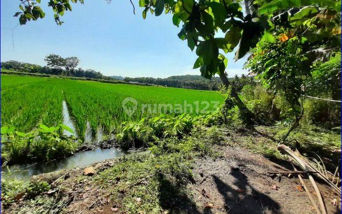 Tanah di Dekat Bandara; Tanah Murah, Kulon Progo SHM 623 m² 2