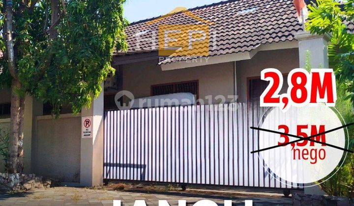Rumah Jangli Dekat Bina Bangsa School Dan Undip Tembalang ! SHM 1