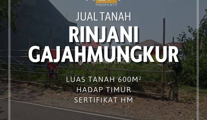 TANAH RINJANI GAJAHMUNGKUR SEMARANG ! 600 m² SHM 1