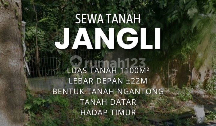 Wild Flat Land with a View! Suitable for a Cafe, Front Width 22m. 1