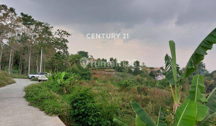 Tanah Di Pinggir Jalan Raya Kolonel Masturi Di Bawah Harga Pasar 2